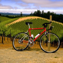 Wine Country Rides: Sonoma Bike Rental Recommendations?
